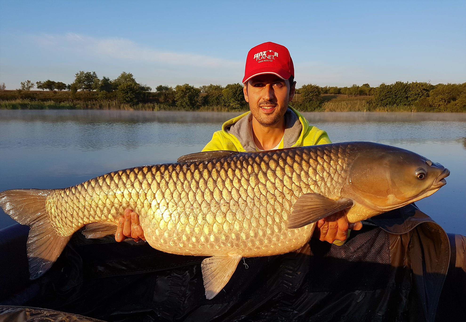 Tancabesti 5 - 8 sep. - 18 kg